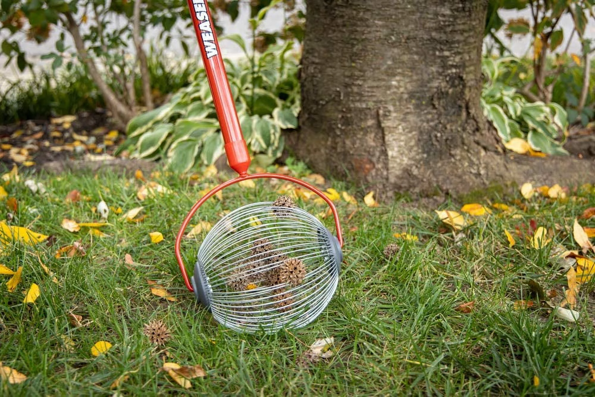 Garden Weasel Medium Nut Gatherer