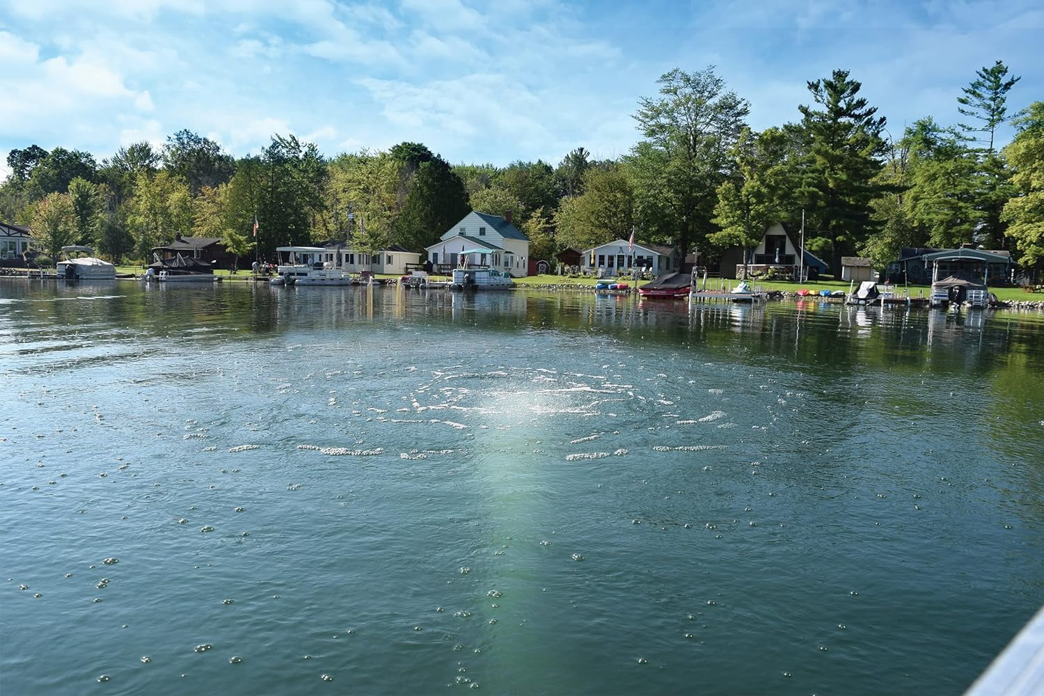 EasyPro QS2 Quick Sink Self-weighted Diffuser Assembly for Lake & Pond Subsurface Aeration/Low Maintenance Dual EPDM Rubber Membrane