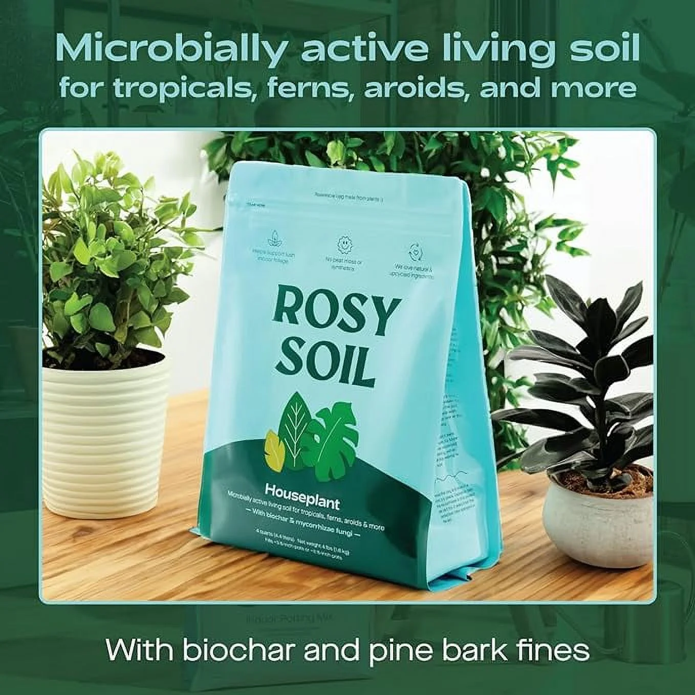 Rosy Soil 4qt Houseplant Mix