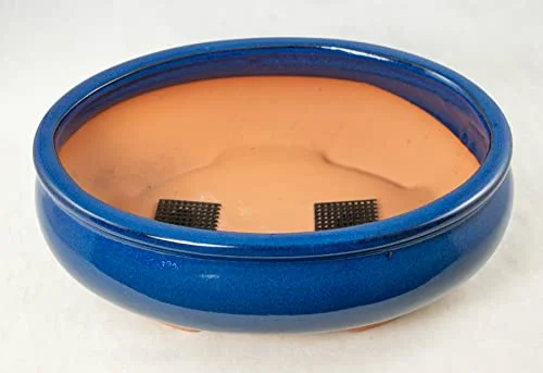 Oval Bonsai / Cactus & Succulent Pot + Tray + Mesh, Dark Blue, 10 x 7.5 x 3.25 Inches