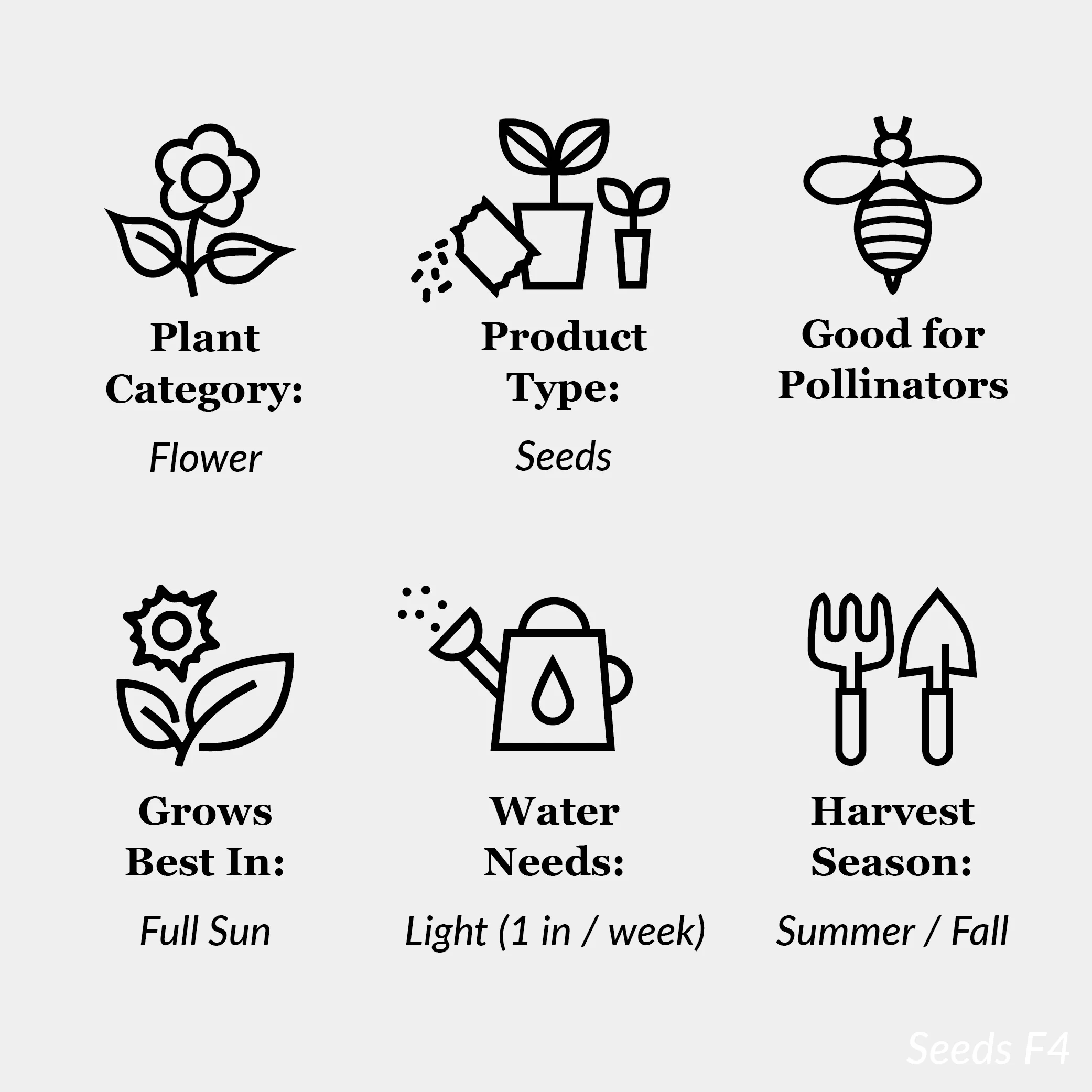 American Seed 1G Four O'Clock Annual Flower Seeds Full Sun