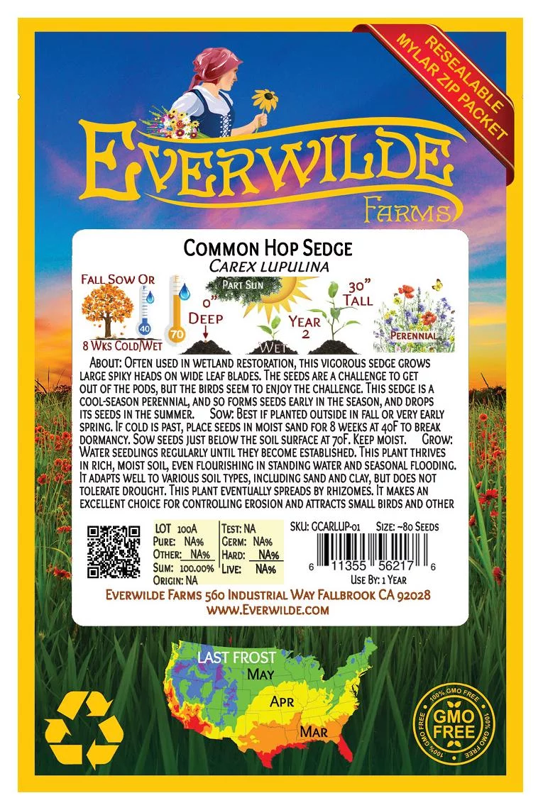 Everwilde Farms - 80 Common Hop Sedge Native Grass Seeds - Gold Vault Jumbo Bulk Seed Packet