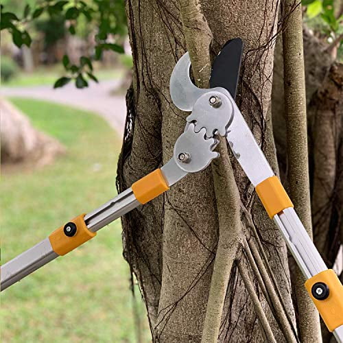 76  Duty Bypass Lopper 1¾-Inch Cut Capacity With Telescoping Aluminum Alloy Handle (Extend To 33 Inch)