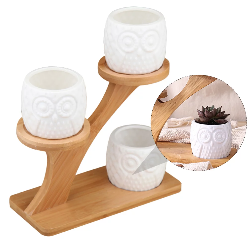1 Set Creative Flower Pot Succulents Pot Owl Pattern Flowerpot Plant Container
