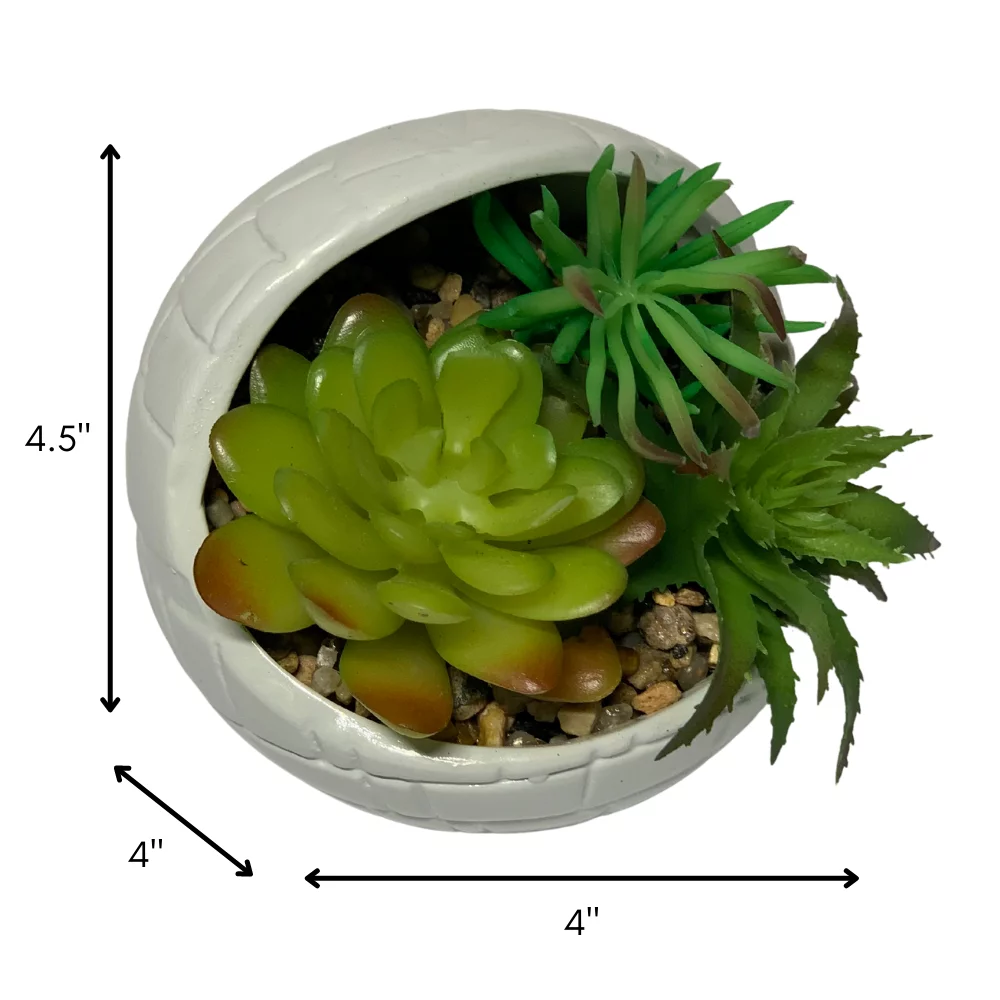 Star Wars Ceramic Planter with Faux Succulent Houseplant 4 inches