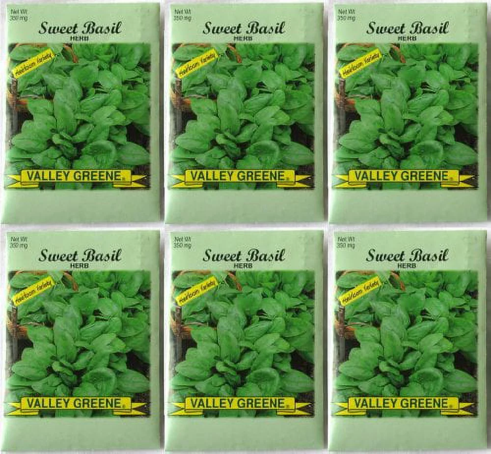 6 Pack Valley Greene Vegetable Seeds 350 mg/Package Buttercrunch Lettuce Heirloom Variety Seeds (Includes 6 packets)