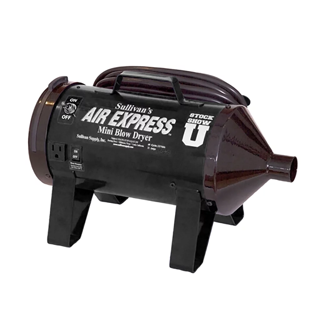 Air Express Mini Blower