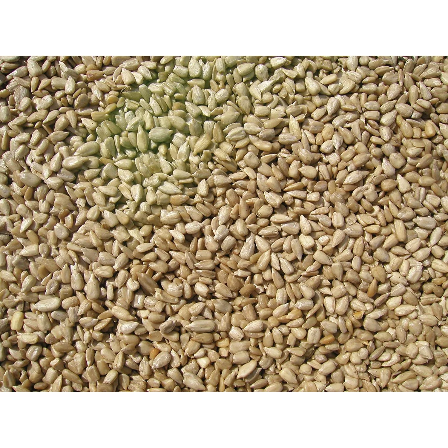 Cole's SM20 Sunflower Meats PP Seed, 20-Pound