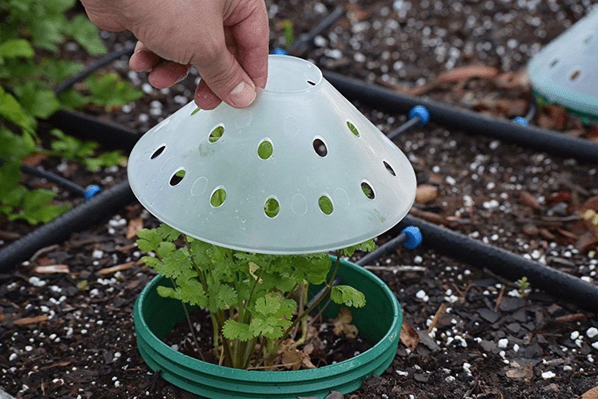 Rooted Promise Plant Greenhouse Dome Round 7 inch for Veggies Herbs Flowers and Garden Plants 4 Pack - Made in USA