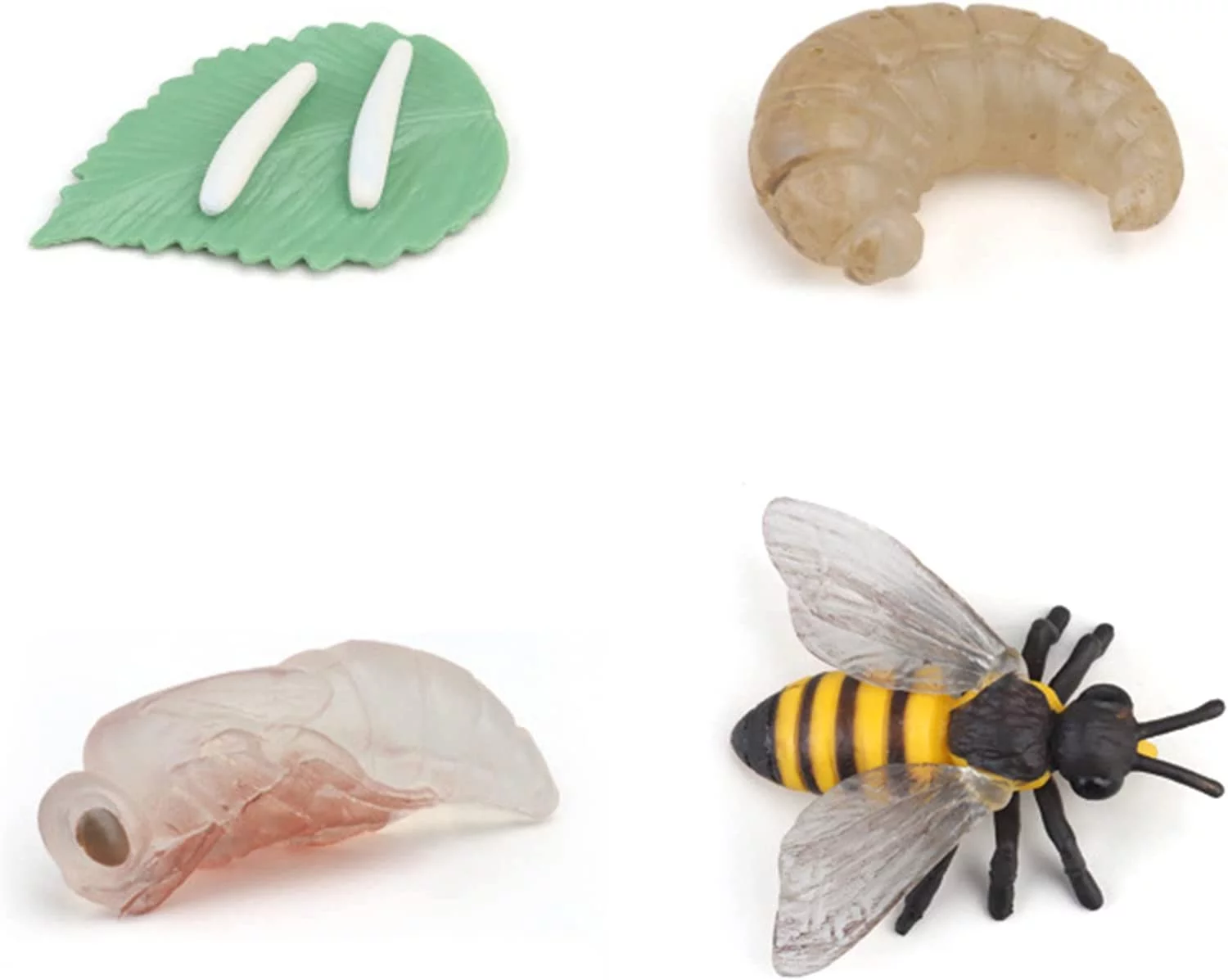 4PC Insect Figurines Life Cycle of Rooster, Ant, Bee, Butterfly, Ladybug, Frog, Salmon|Plastic Bugs for Safariology Animal Figures, Preschool Science Educational Toy (Bee Cycle)