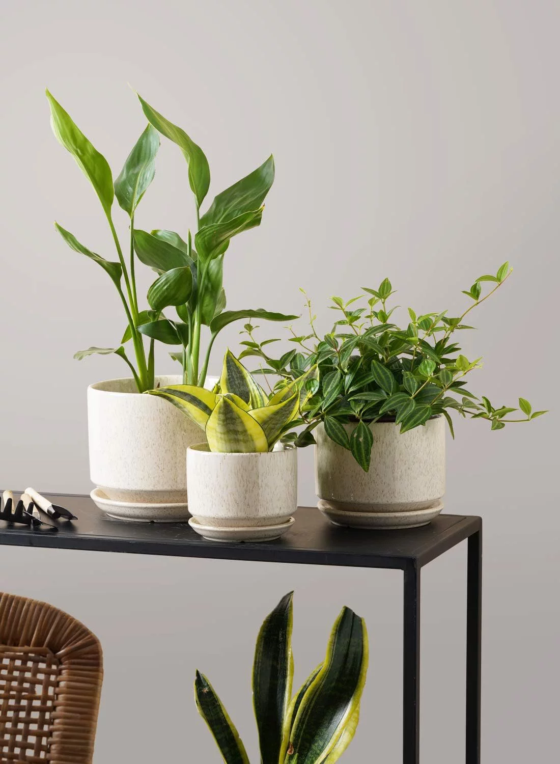 LE TAUCI 4.3+5.3+6.8 Inch Ceramic Plant Pots with Drainage Hole and Saucer, Set of 3, Reactive Glaze Beige