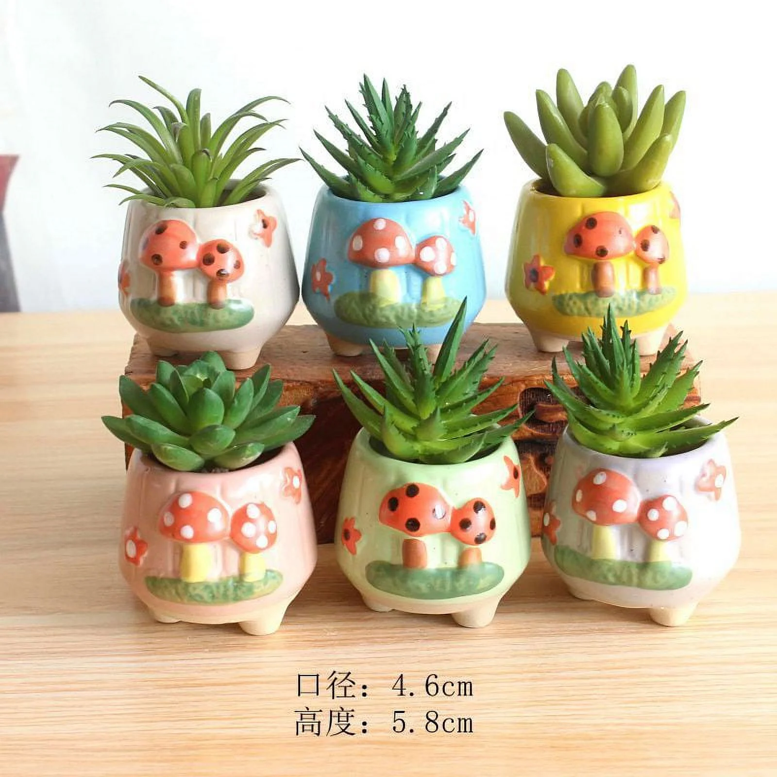 Ceramic Hand-painted Succulent Plant Pot, Thumb Pot, Small Succulent Flower Pot