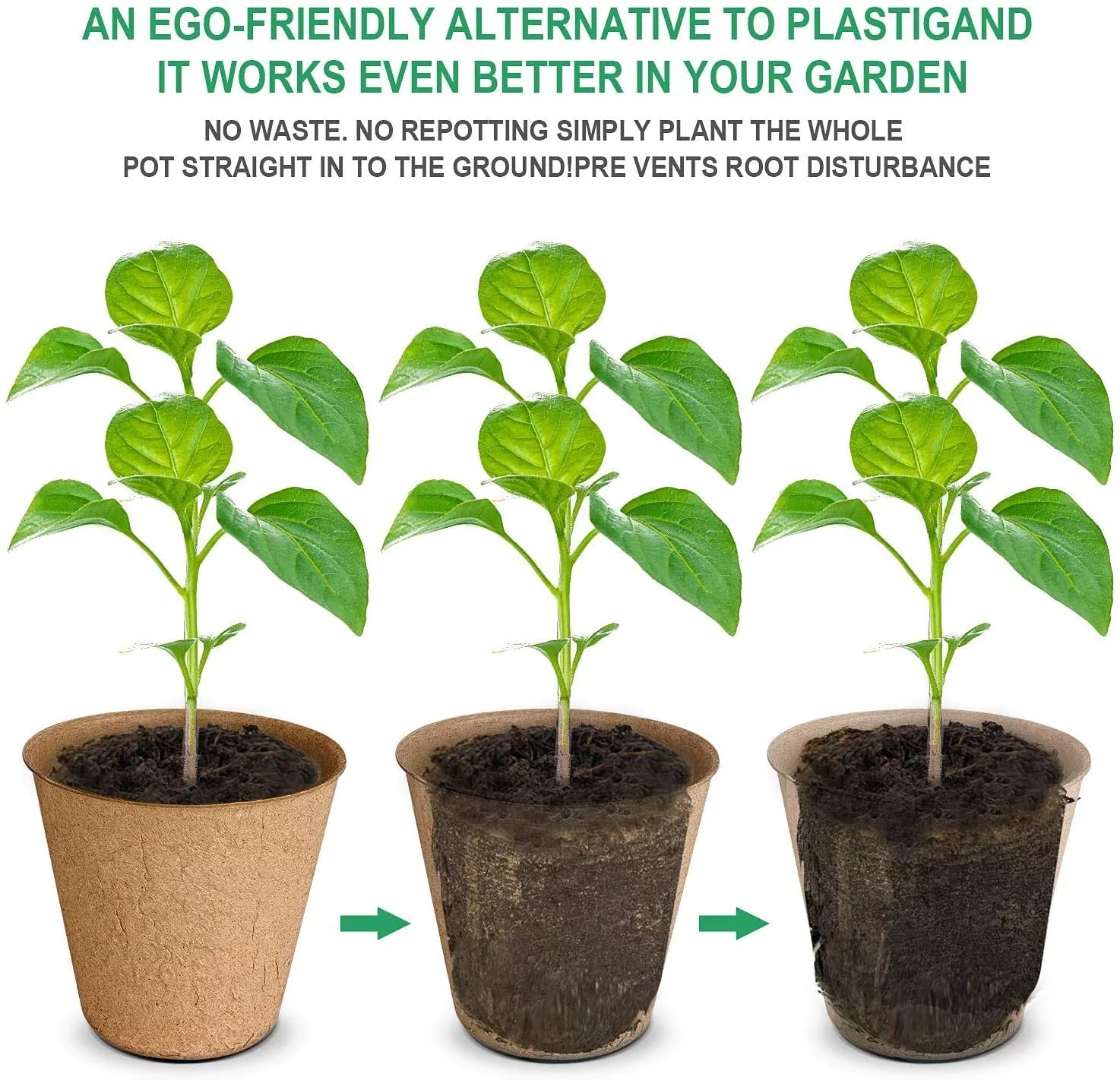 Black Duck Brand Peat Pots for Garden Seedlings Tray; 2.375-in 100% Eco-Friendly Biodegradable Organic Germination Seedling Trays (80 Pots)