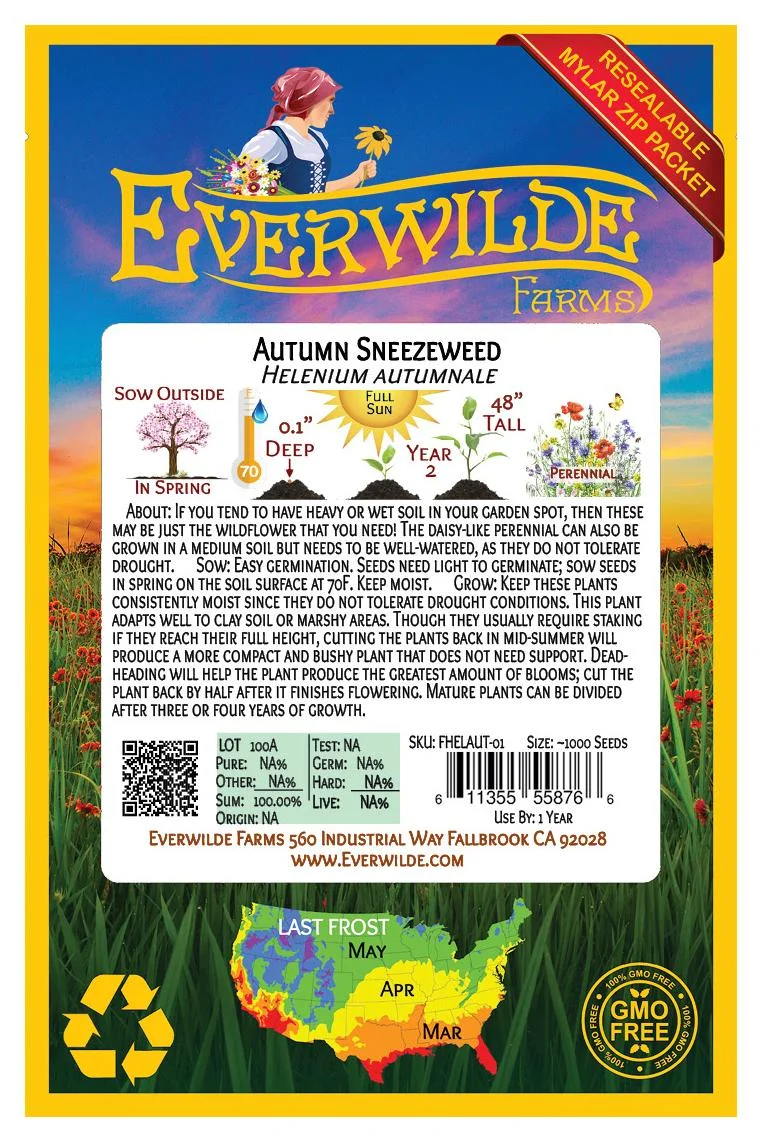 Everwilde Farms - 1000 Autumn Sneezeweed Native Wildflower Seeds - Gold Vault Jumbo Bulk Seed Packet