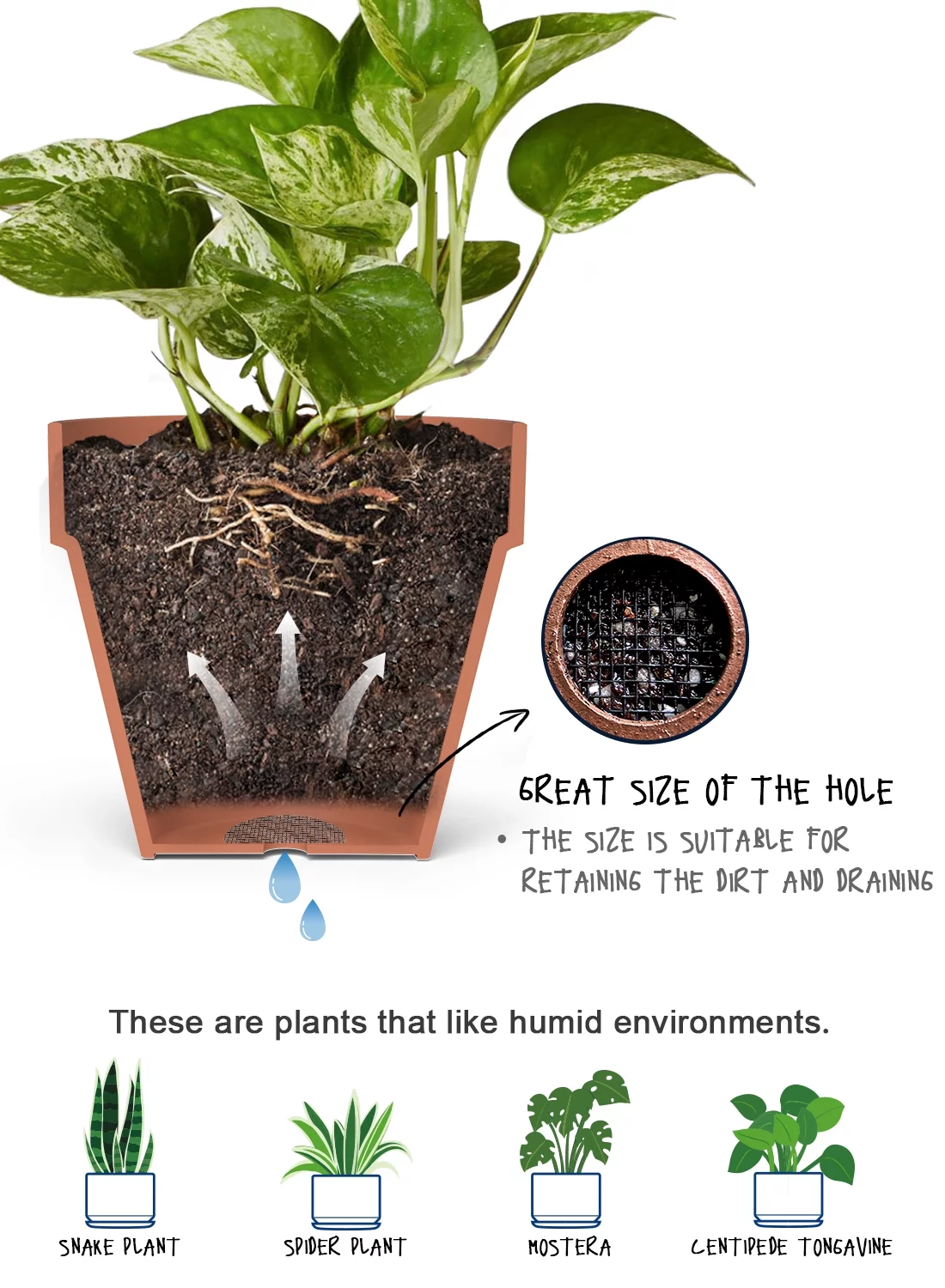 LE TAUCI 100 Pack Flower Pot Hole Mesh Pad, 2 Inch Plant Pot Drainage Hole Screens, Prevent Soil Loss Anti, Bonsai Pot Bottom Grid Mat Mesh