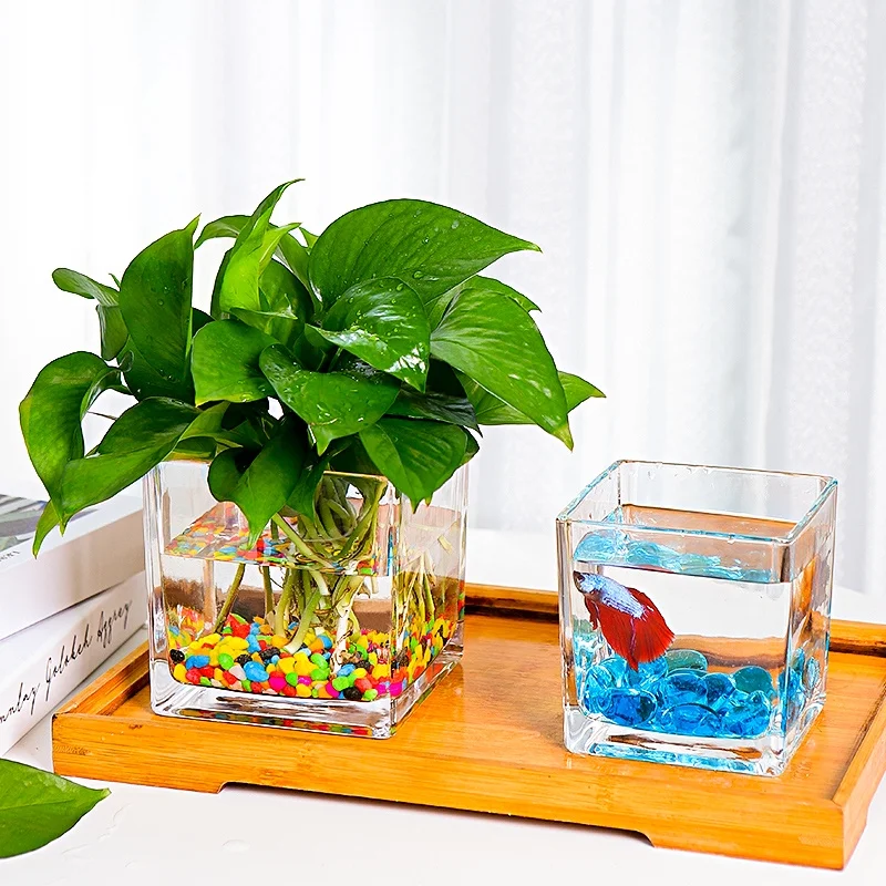 Hydroponic Utensils Copper Coin Grass Creative Bottle Glass Flower Pot Aquatic Plant Tulip Flower Vase Fangfang Describer Brown Pottery-500G Without Square Vat Intermediate