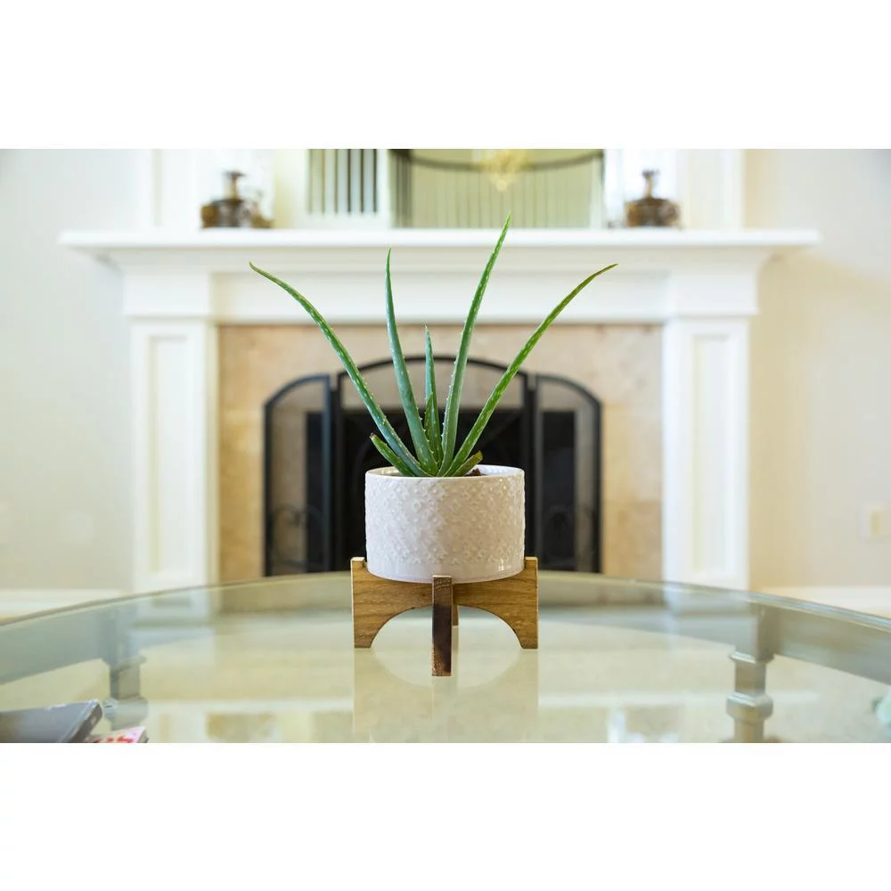 5 In. Pink India Ceramic Planter On Wood Stand Mid-Century Planter