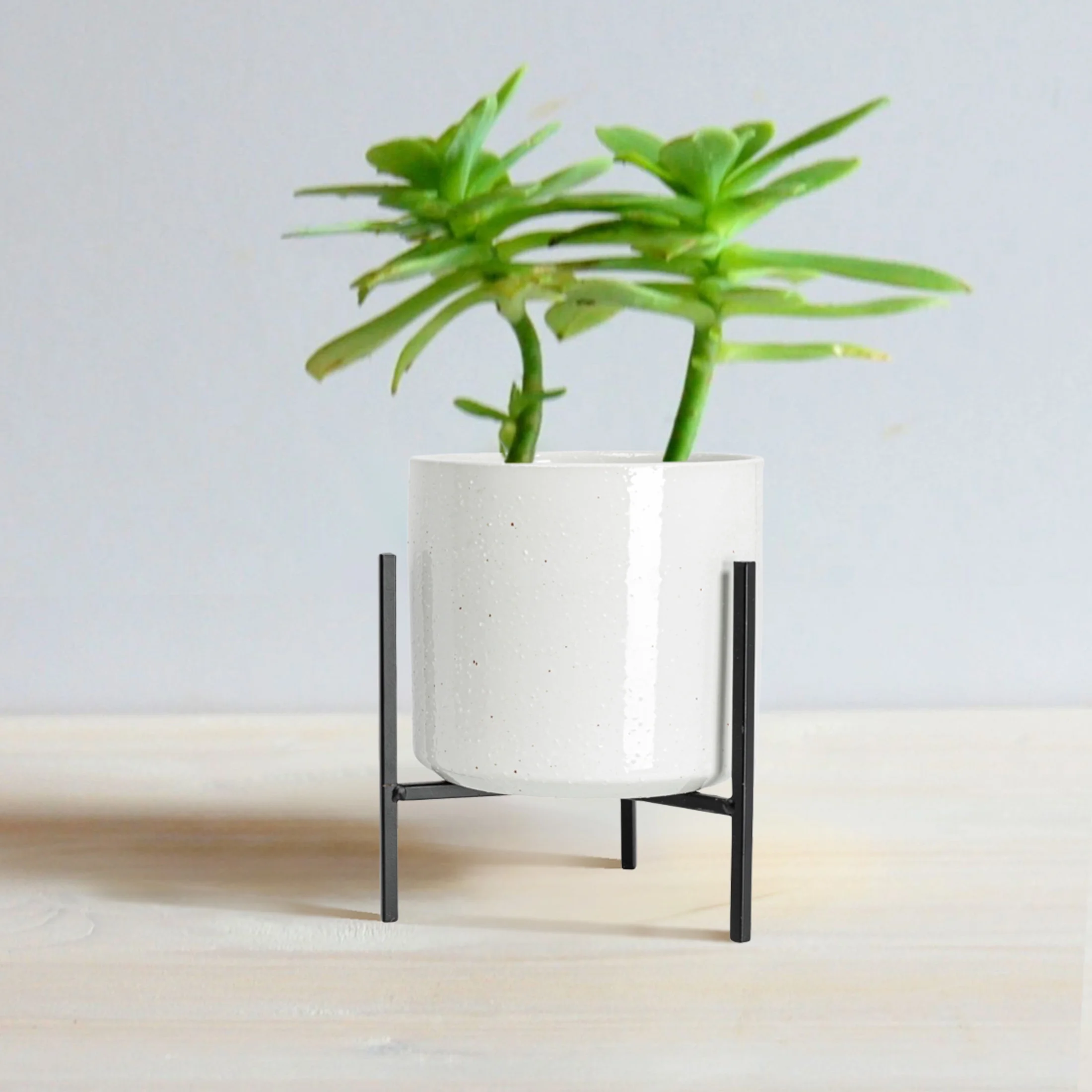 Bloomingville Small White Stoneware Flower Pot with Black Metal Stand