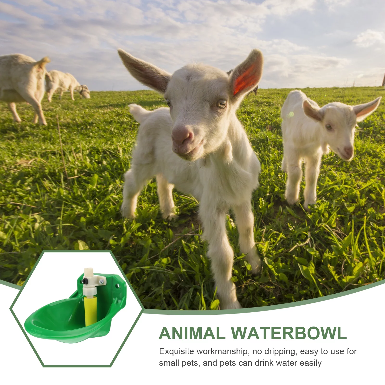 Guichaokj 1Pc Sheep Drinking Bowl Animal Waterbowl Automatic Water Fountain (Green)