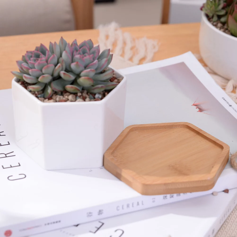 2 Sets Ceramic Hexagonal Succulent Containers Plant Pot Cactus Planter Pot with Bamboo Tray