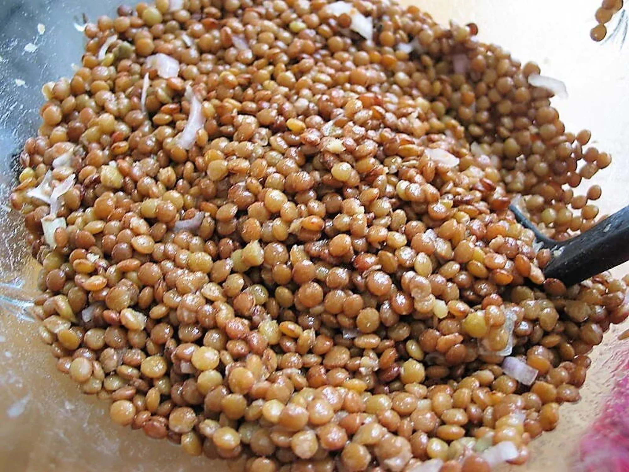 100 GOLD LENTIL Bush Lens Culinaris Golden Yellow Vegetable Legume Sprouts Seeds