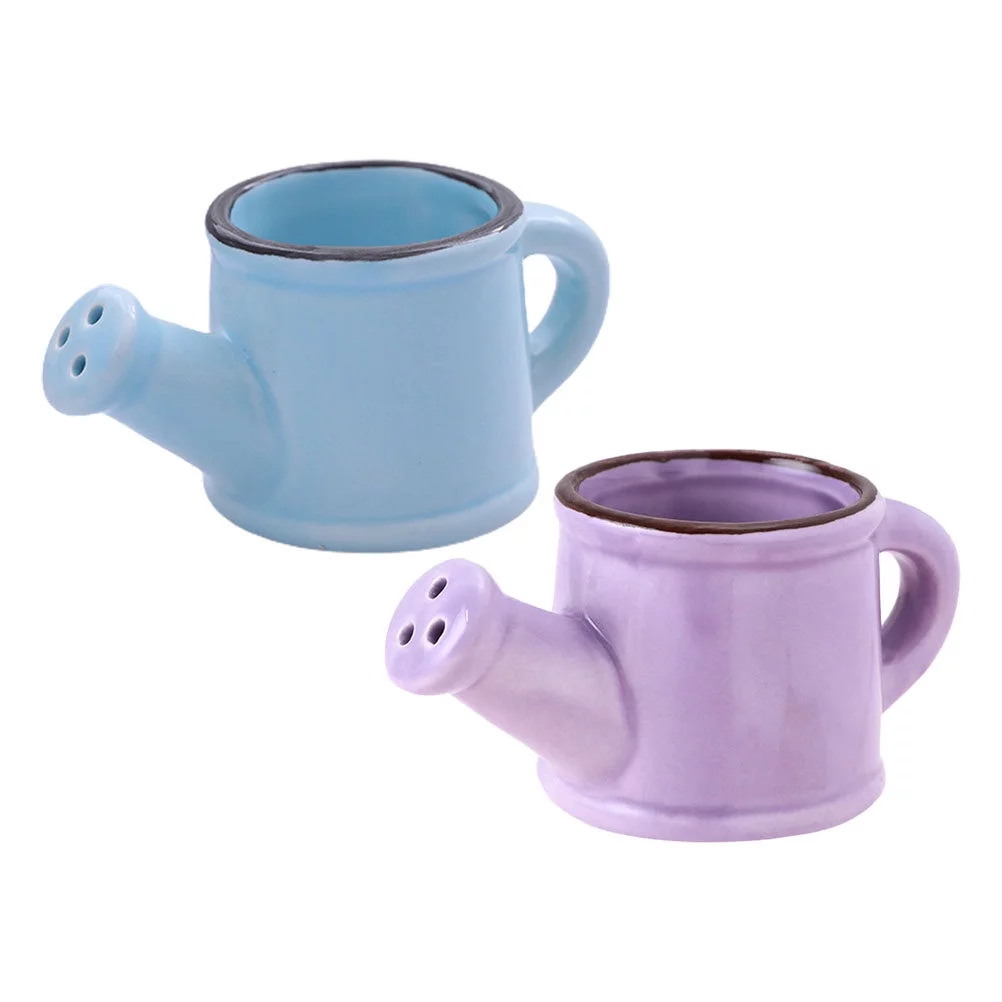 Gongxipen 2pcs Ceramics Flower Watering Pots Garden Watering Pot for Home (Purple, Blue)