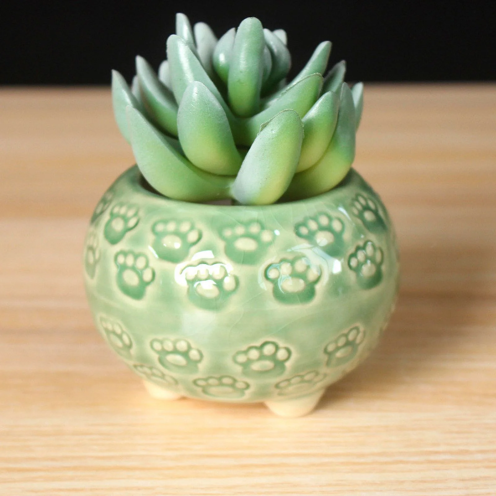 LivNxt Ceramic Succulent Planter with Crackle Glaze - Thumb Pot, Creative Handcrafted Pot