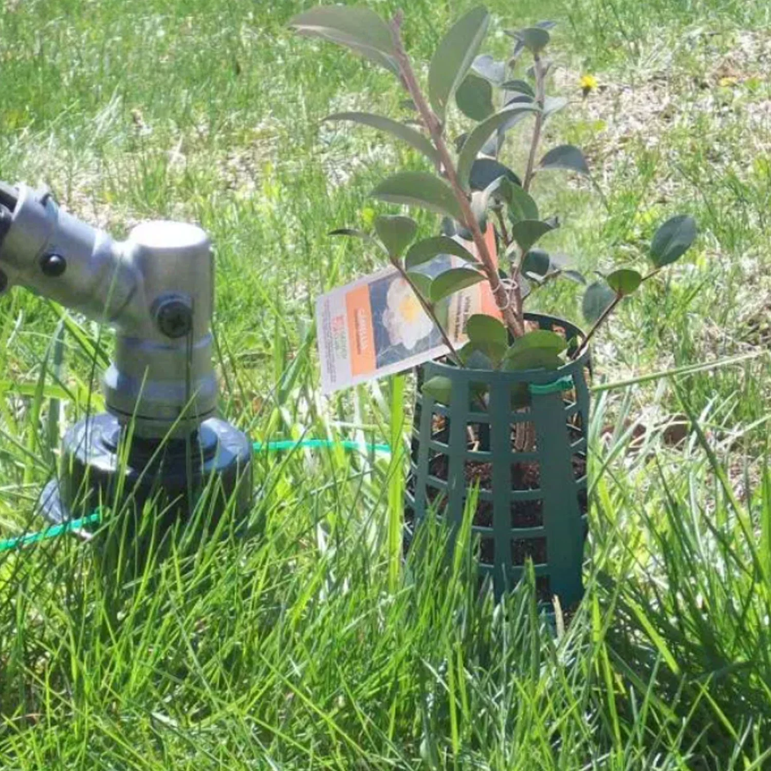 Plant Knight Tree & Plant Animal Prevention Protector Guard, 3 Pack (Green)