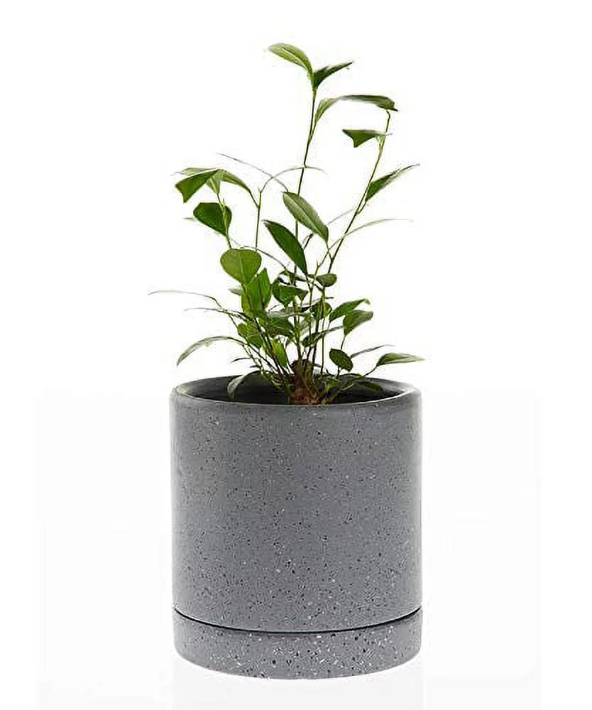 Decorative Ceramic Planter with Saucer (CR6380GR) (Sand Grey, 5.5