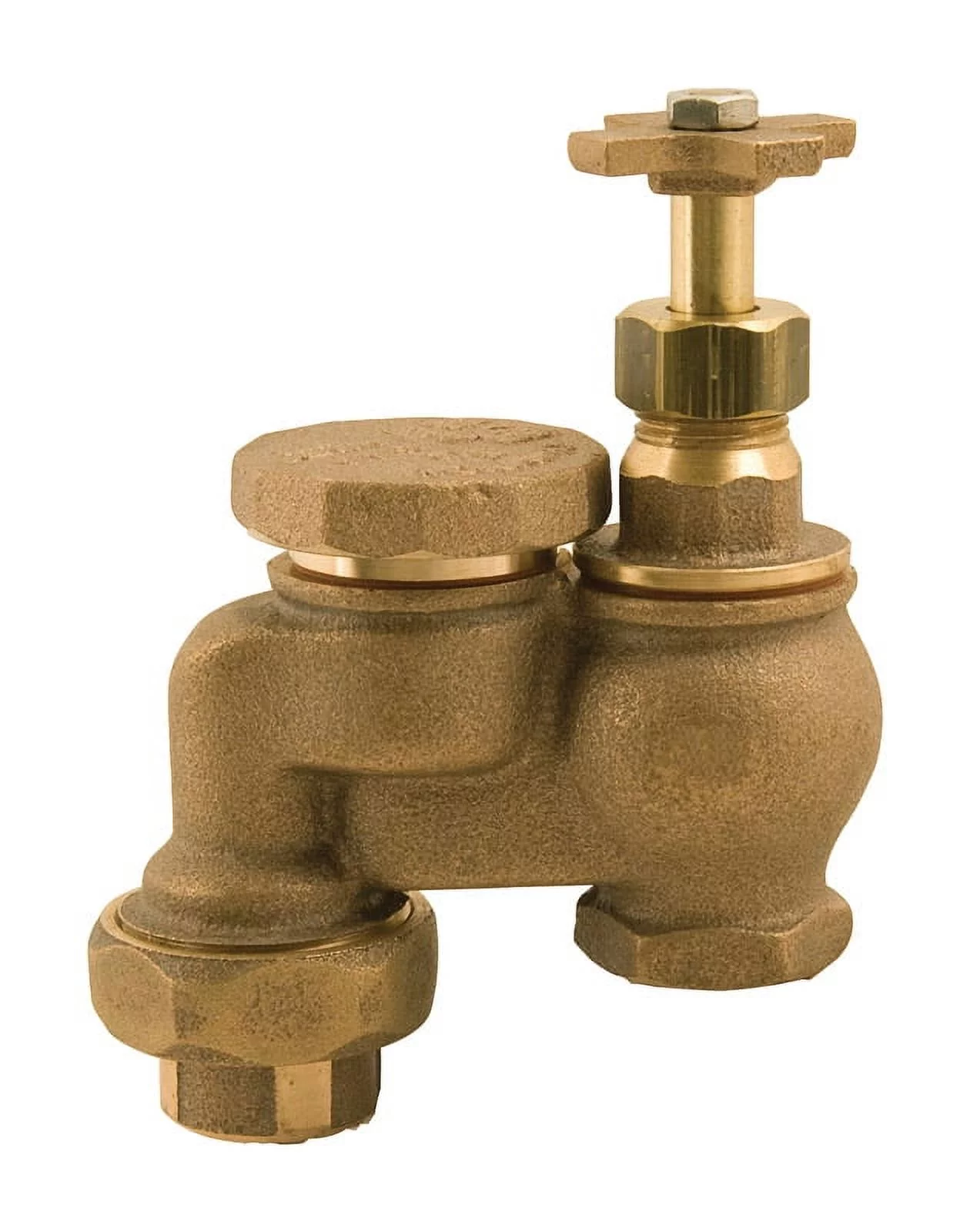 Champion Anti-Siphon Valve 1 in. 150 psi