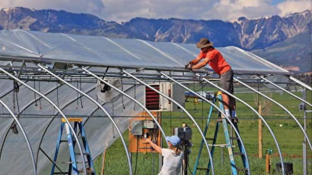 A&A Green Store Greenhouse Plastic Film Clear Polyethylene Cover UV Resistant (9 ft Wide x 25 ft Long)