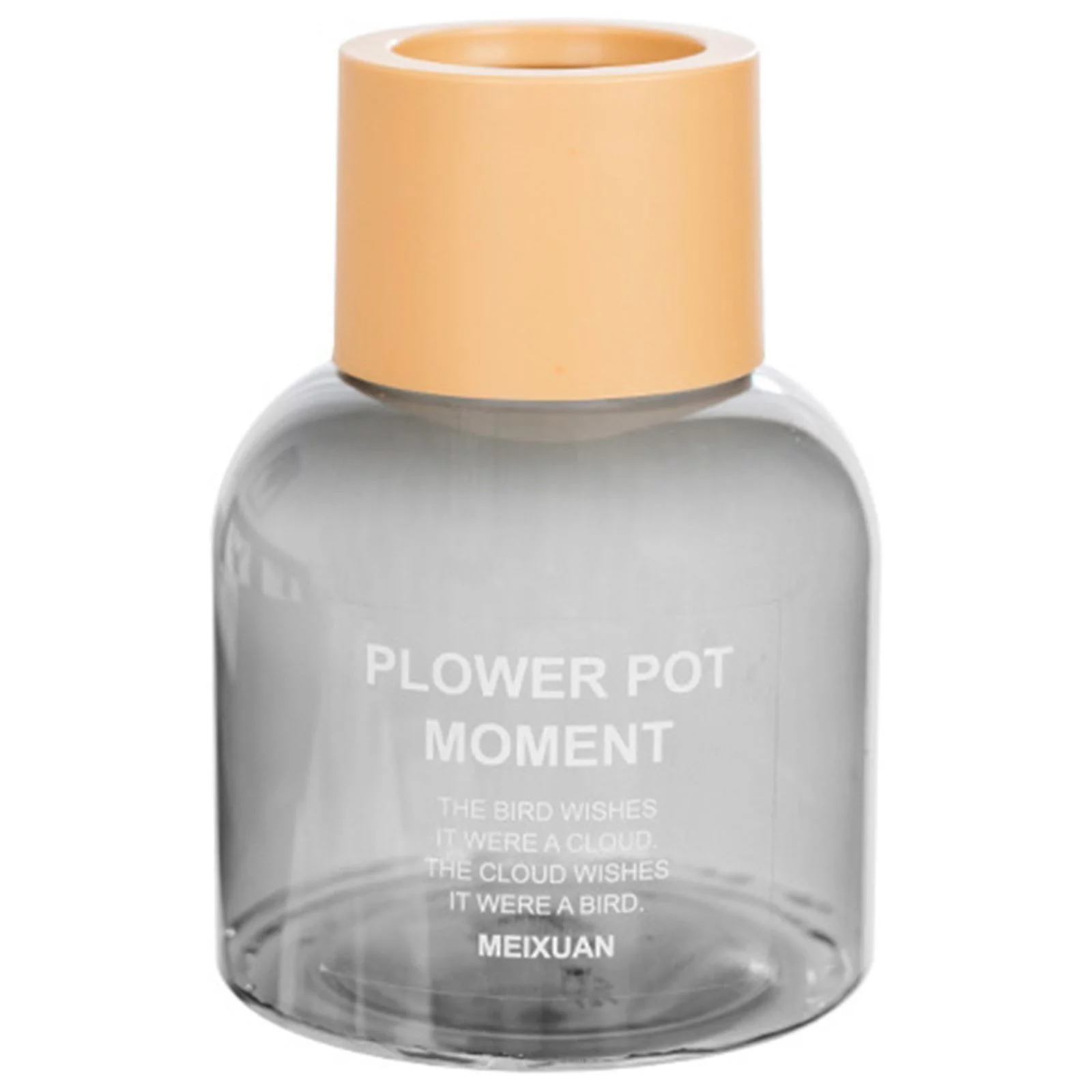 RBCKVXZ Transparent Hydroponic Small Potted Plant Pots, Indoor Living Room Desktop Transparent Hydroponic Plastic Flower Pots Home Decor on Clearance