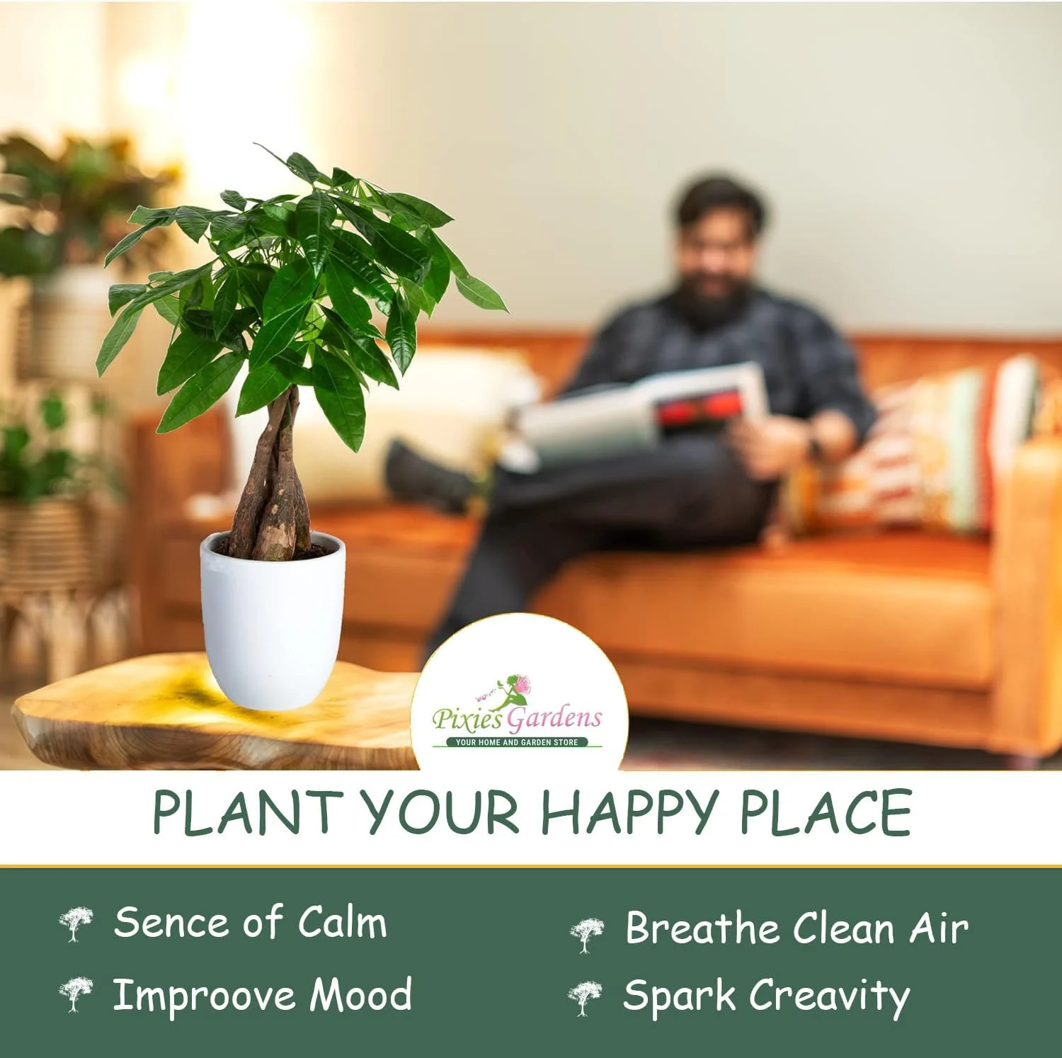 Pixies Gardens Stunning Artificial Orchids in Conical Pot White 3 Stem