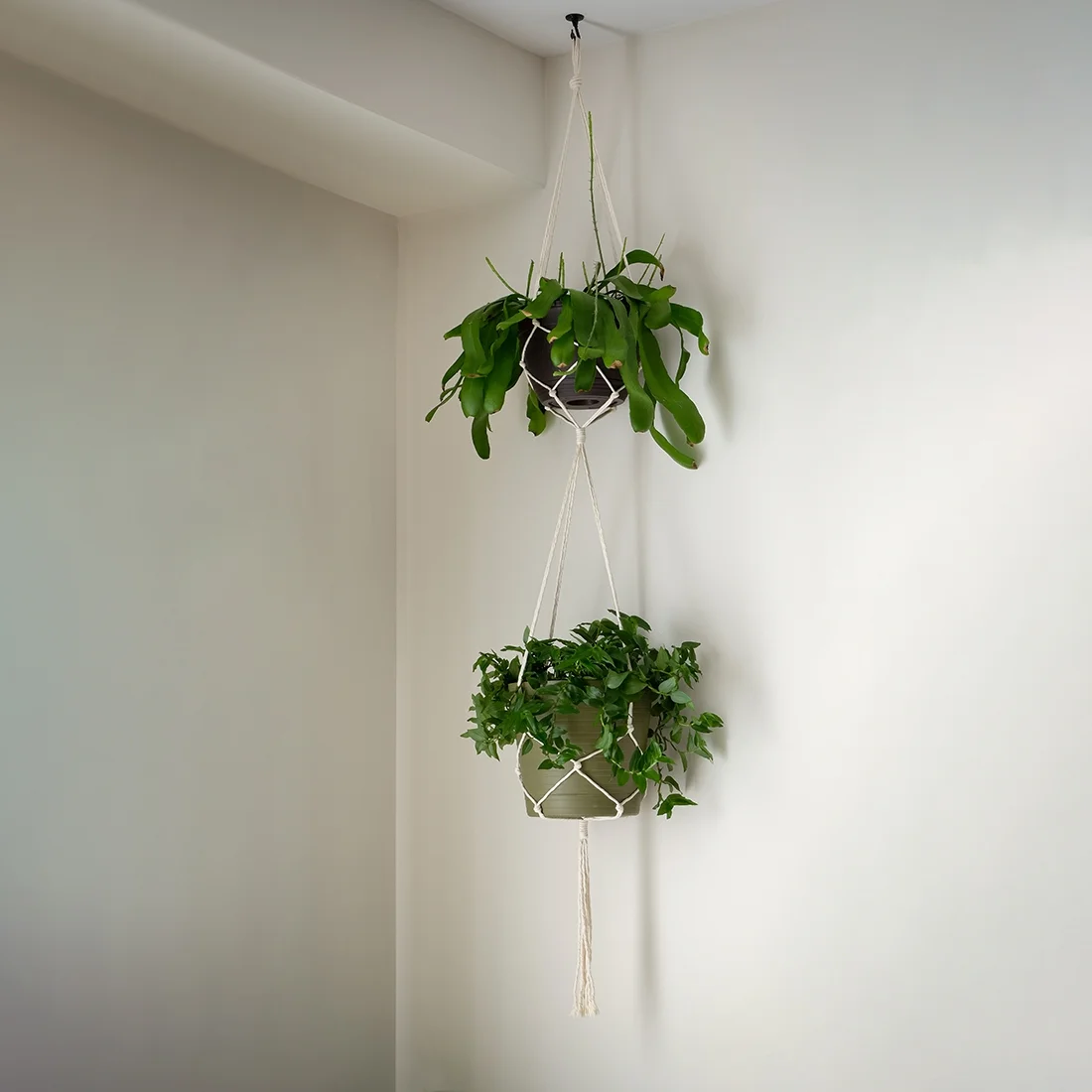 Bronze Swag Metal Hook Kit Plant Hanging Ceiling Hook 2 Pack