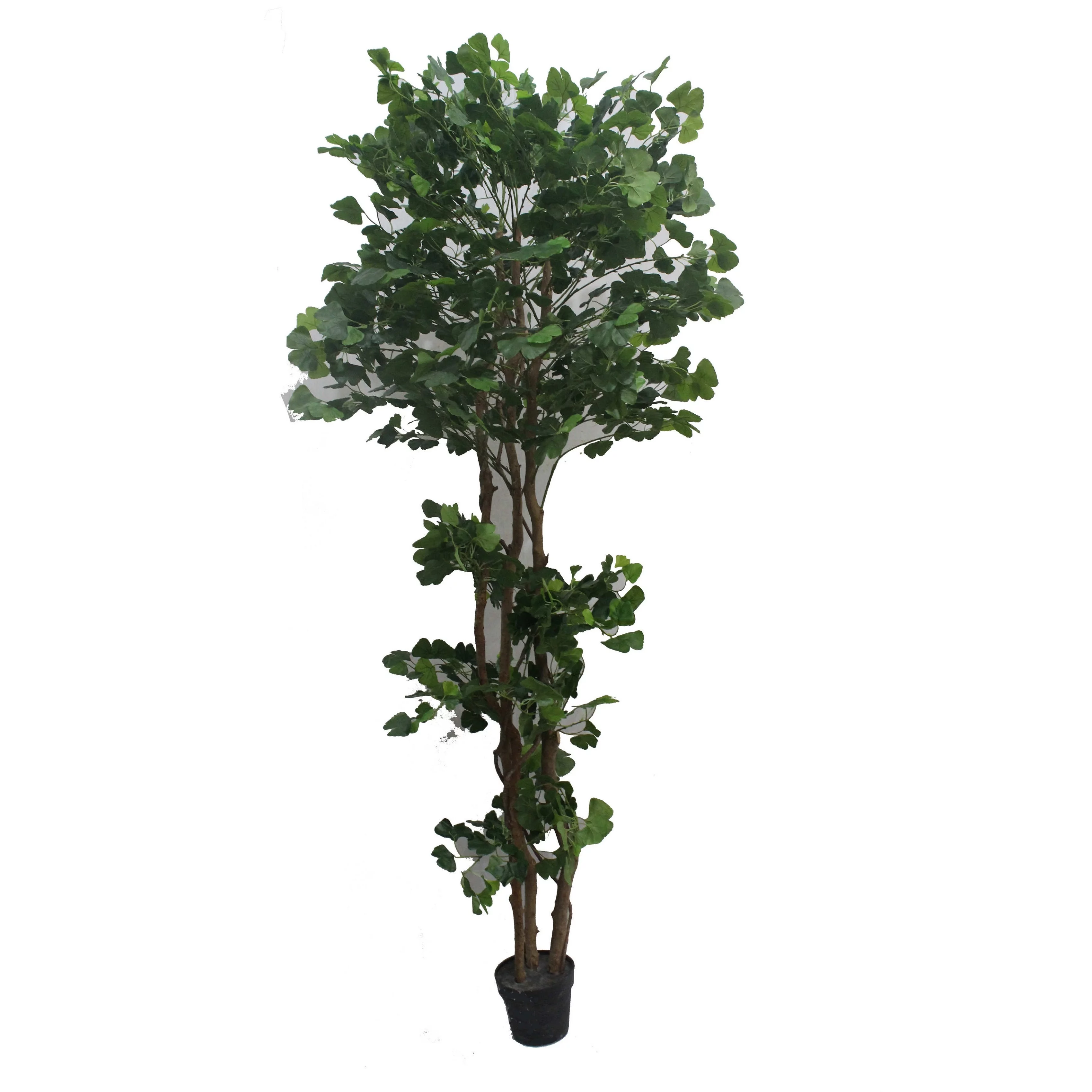 Jeco HD-BT145 67 in. Edge Banyan, White