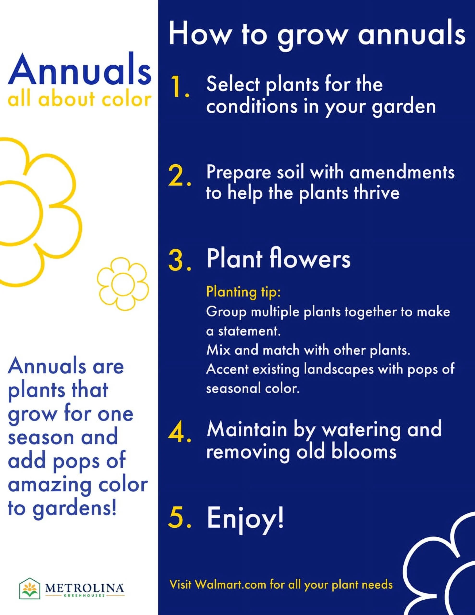 Better Homes & Gardens QT Purple Calibrachoa Live Plant Grower Pot Sun