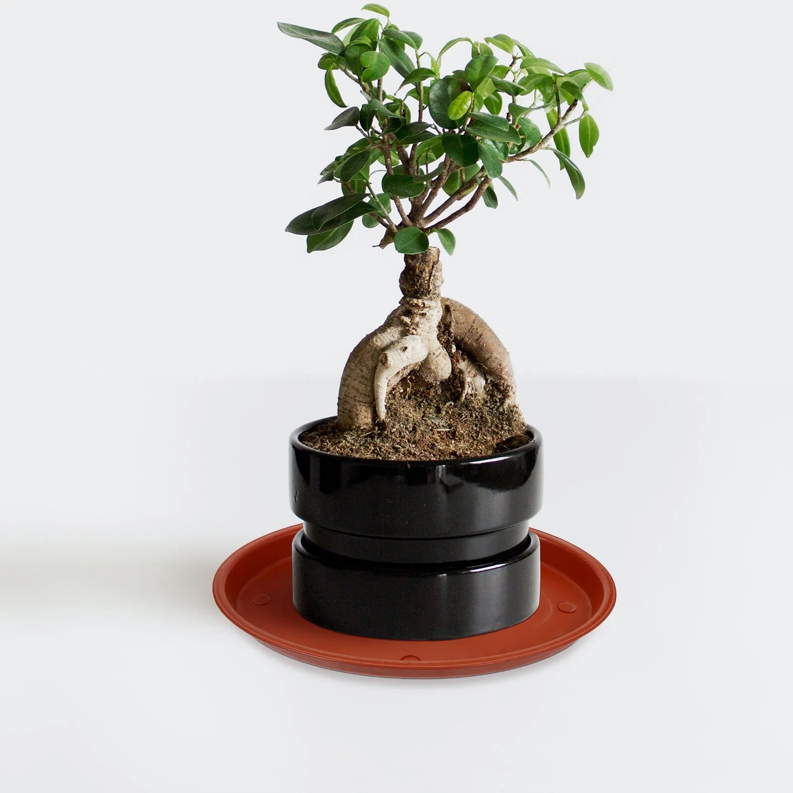 Gongxipen 5pcs Plastic Flowerpot Trays Flowerpot Baseplates Oval Plant Pot Trays Red