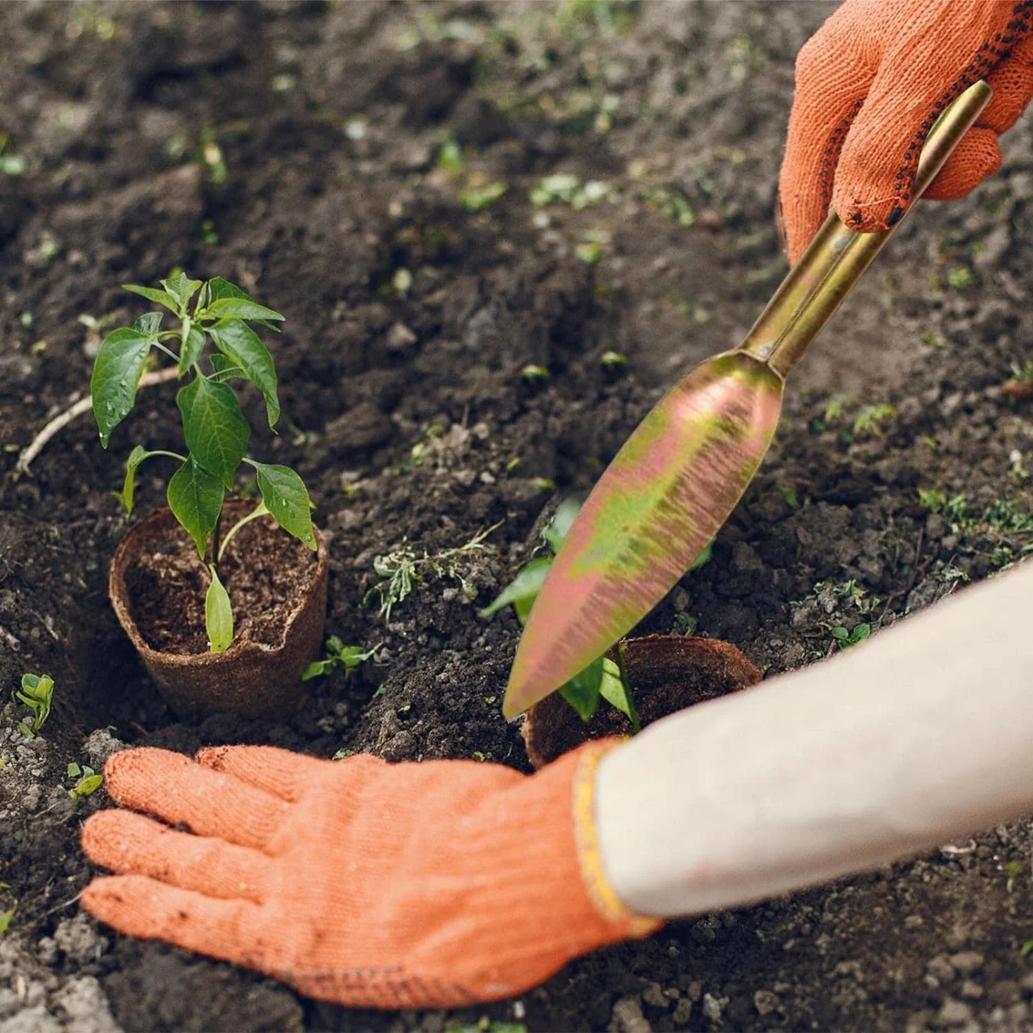 Leaf Shaped Hand Shovel  Garden Trowel Tool  Equipment Household Digging Small Shovel  for Find Vegetables Catching The Sea  Willow Leaf Colour