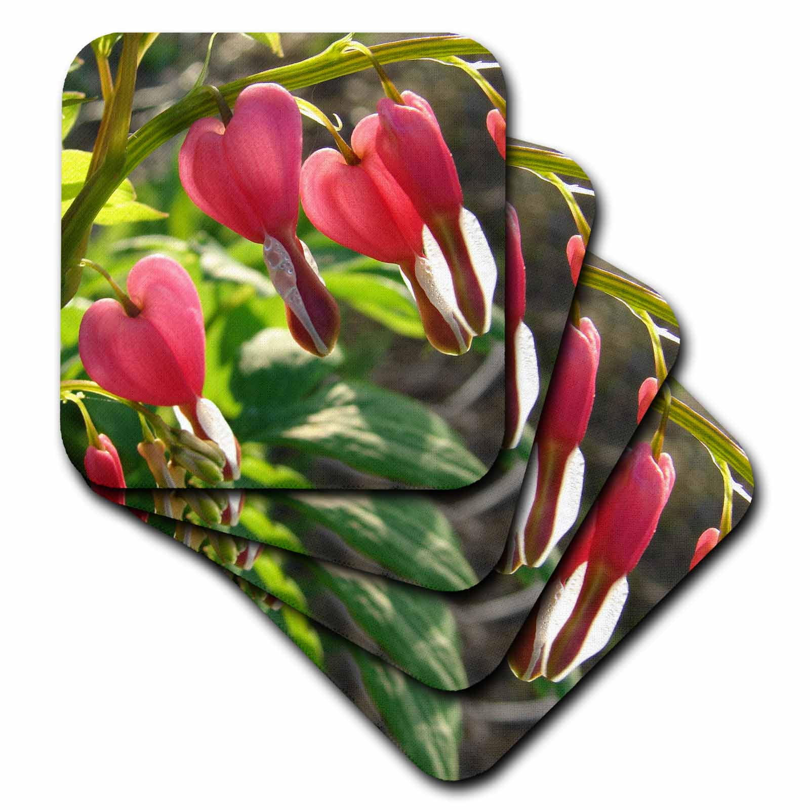 Bleeding Heart Flowers set of 8 Coasters - Soft cst-6435-2