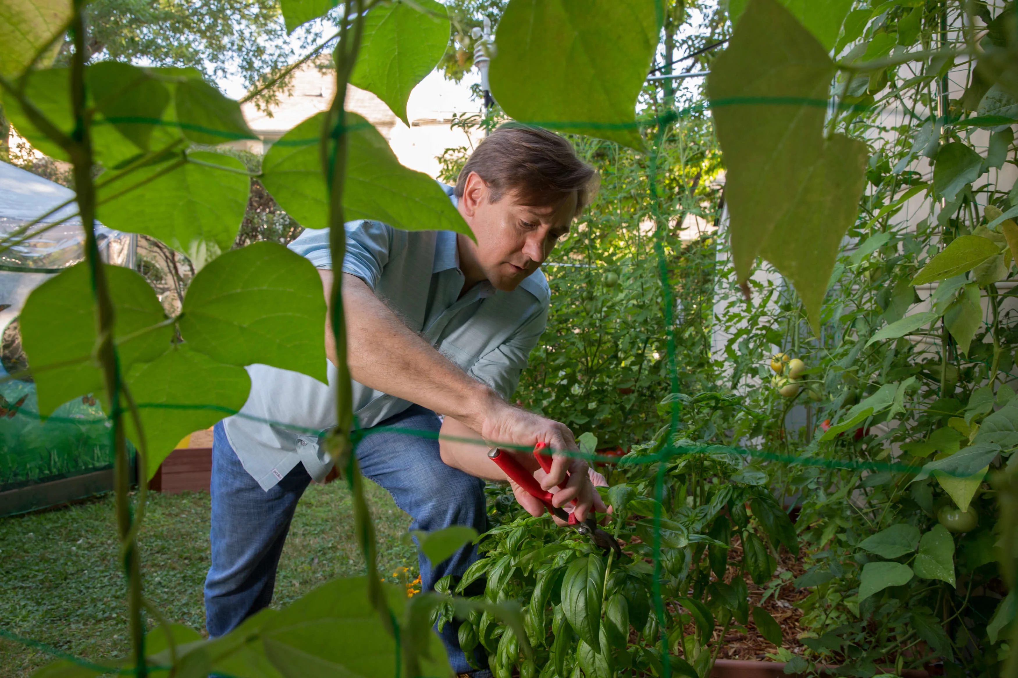Frame It All Stack & Extend Veggie Wall