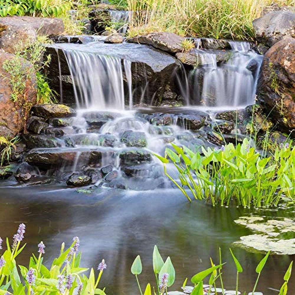 HALF OFF PONDS (2 10 Inch EPDM Rubber Membrane Air Diffuser for Pond and Lake Aeration