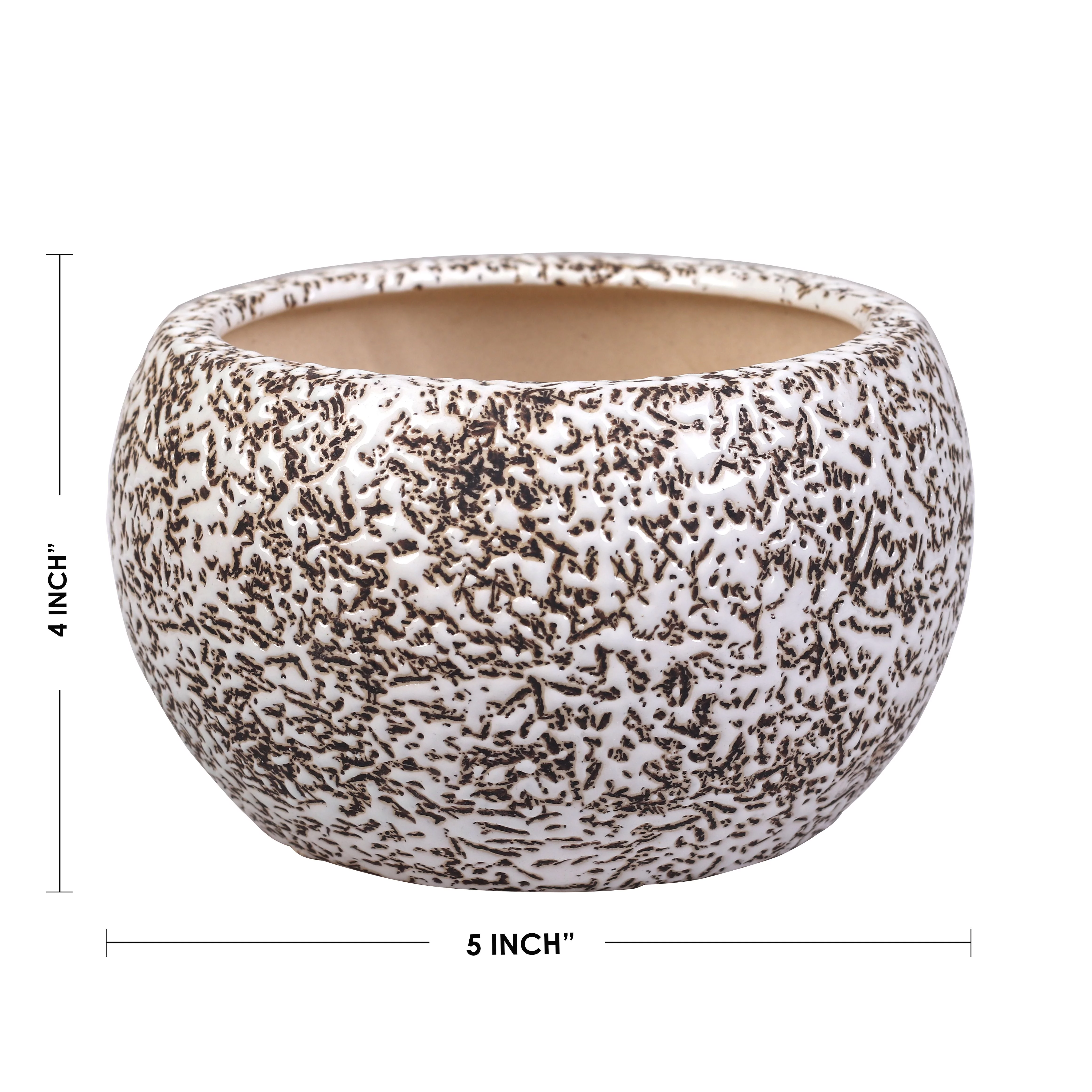 Terra Glazed Ceramic Bowl Planter