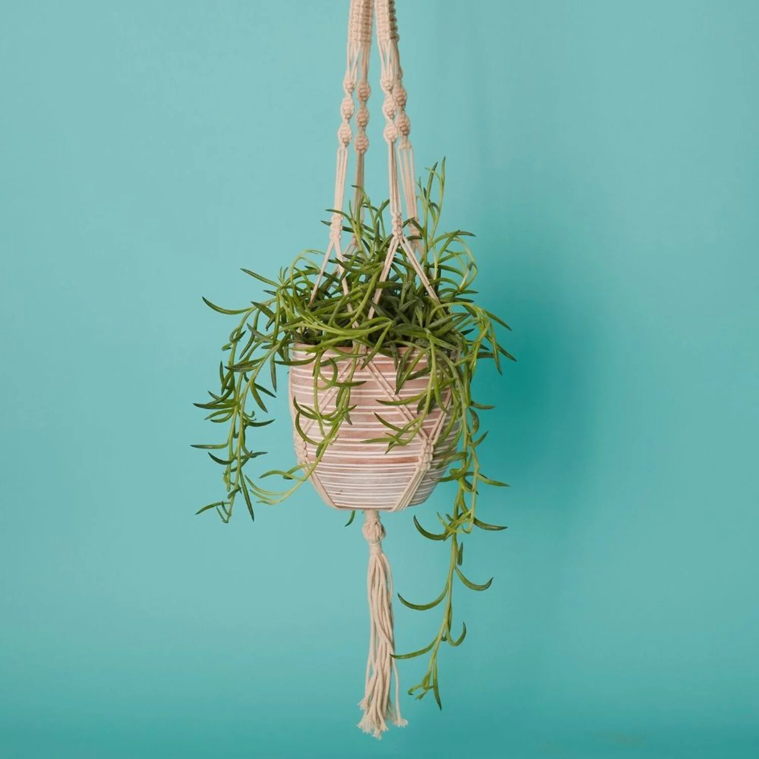 Striped Macrame Terracotta Hanging Pot Set