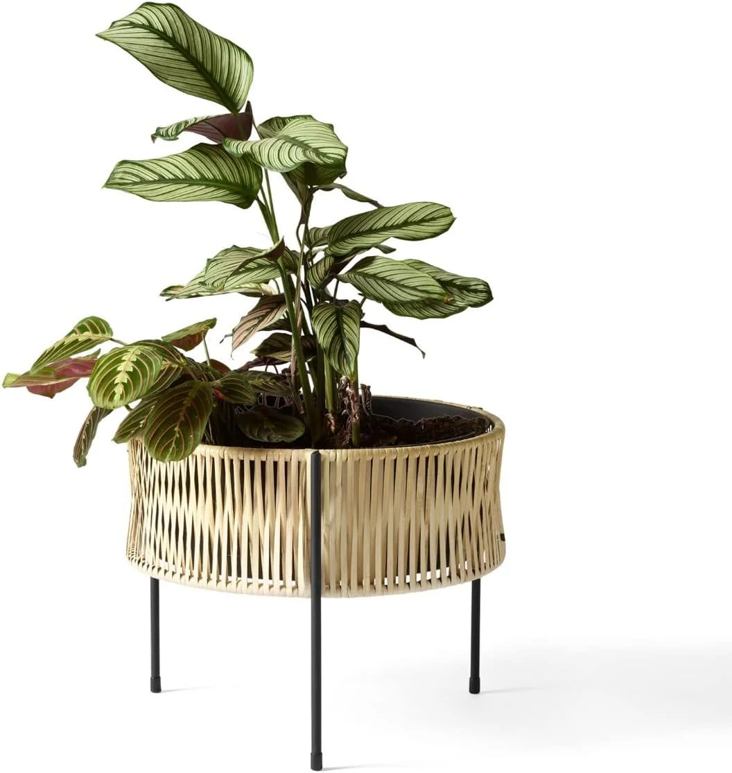CXIAN Umanoff 32.5 Plant Pot, Beige H x Diameter 32.5 x 41 cm Steel Frame Black Powder-Coated