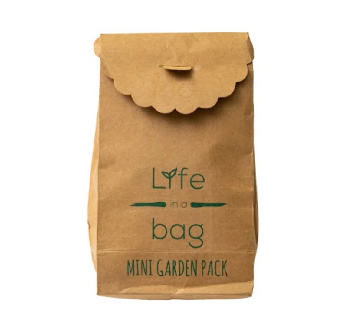 Eco Friendly D.I.Y Grow Kit - 5 Pc Set Jute Planter Set - Seed kit + Planter Pot - Sustainable Gift