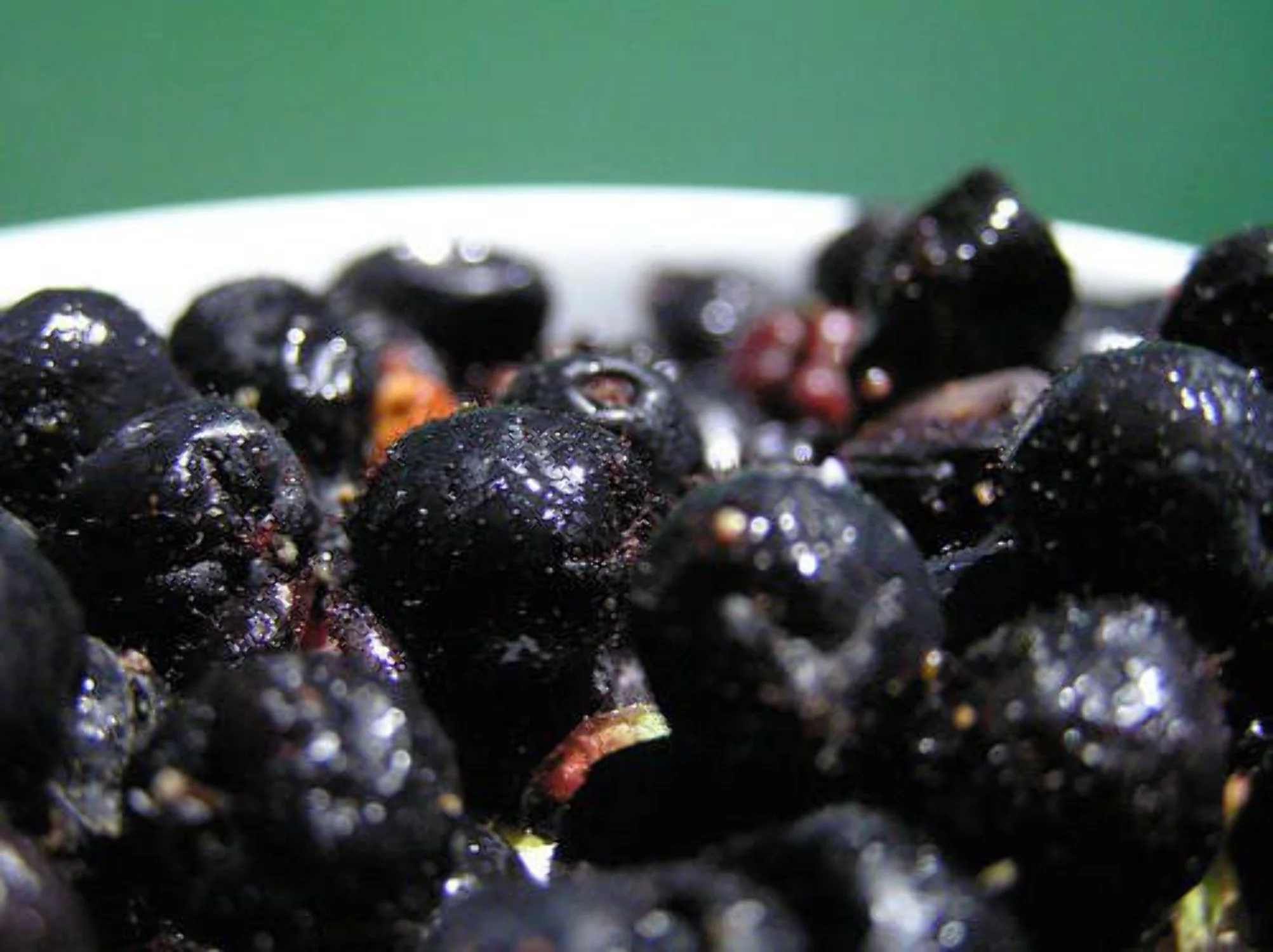 40 SALAL BERRY Gaultheria Shallon Pink White Flowers Blue Fruit Shrub Seeds