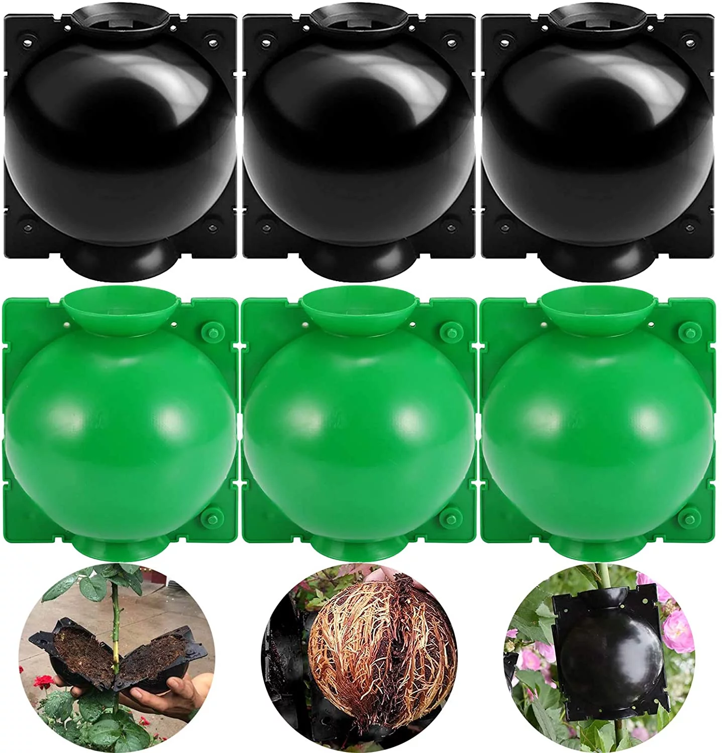 Plant Root Growing Box, Assisted Cutting Rooting Box Propagation Rooting Ball Reusable Plant Grafting Plastic Device - 6 Pcs (M)