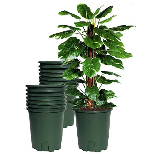 10 Pcs2 Gallon Open Diameter 9Inch Height 8.5Inch Green Plastic Pots. The Root Control Desige For Flower Succulent Plants Vegetables Fruit Nursery Plants Garden Outdoor Indoor (GNDRC-2-10)