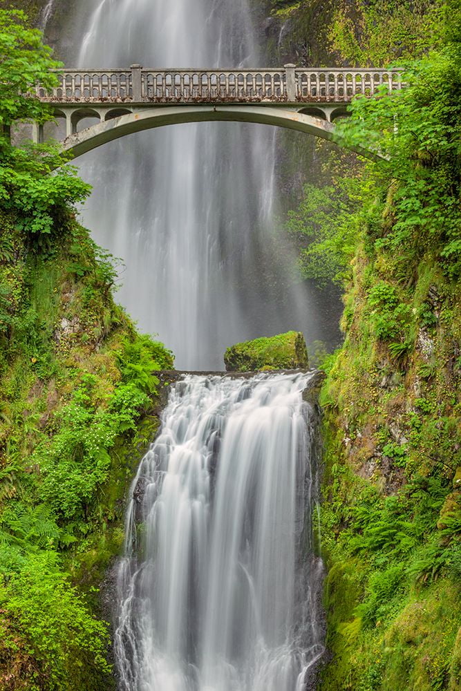 Jones, Adam 11x14 White Modern Wood Framed Museum Art Print Titled - Multnomah Falls-Columbia River Gorge-Oregon