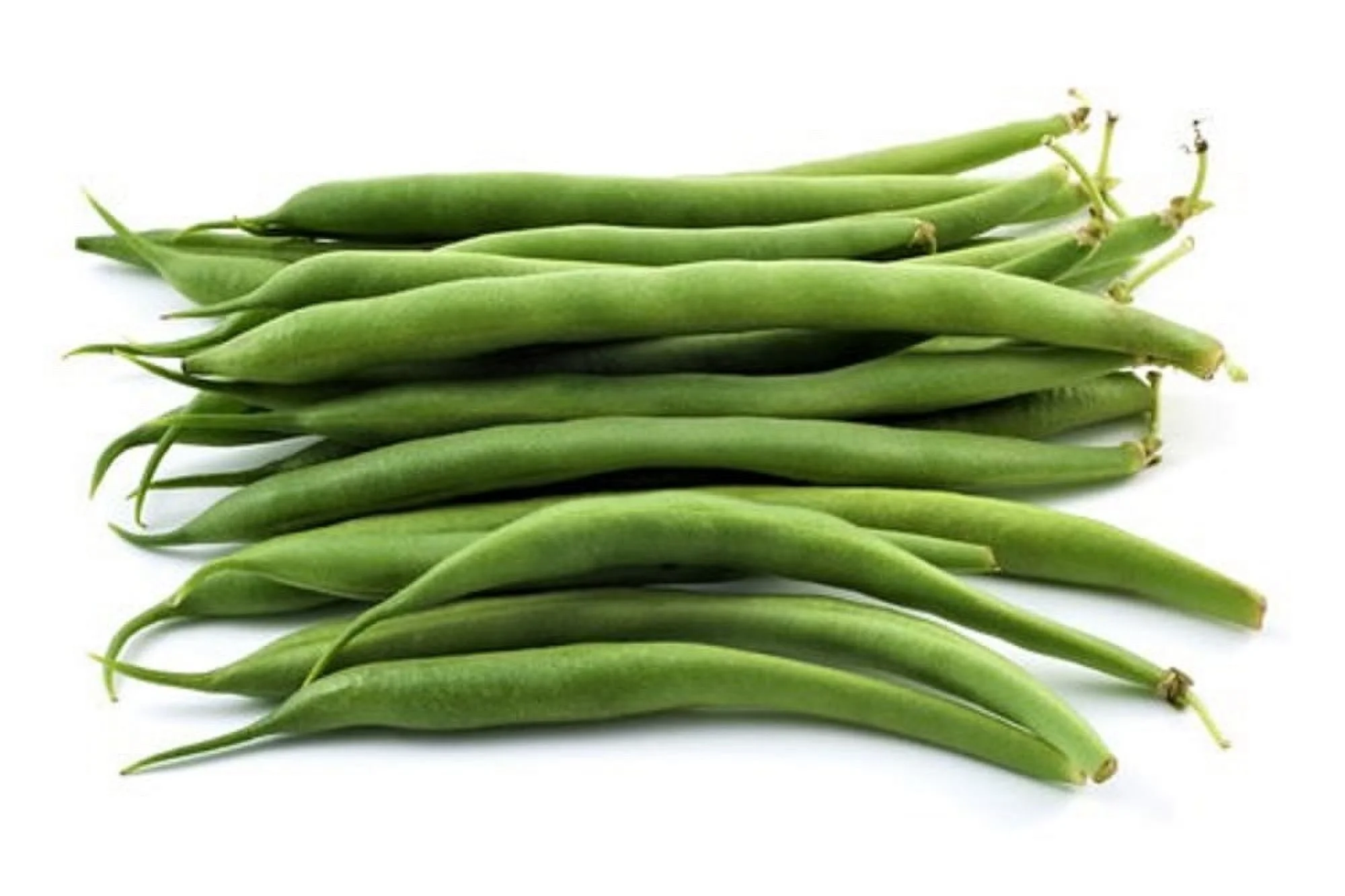 Slenderette Bush Bean Seeds, Non GMO, 200+ Seeds, Great Tasting and Healthy